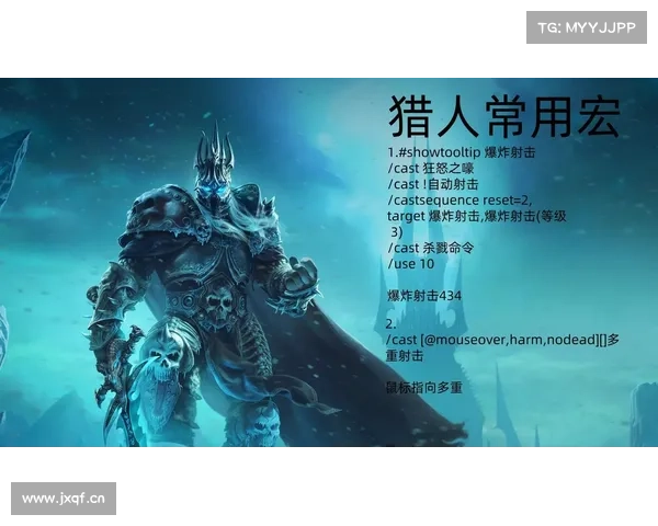 独闯巫妖王:魔兽世界单刷通关攻略 独闯巫妖王:魔兽世界单刷通关攻略